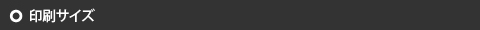 印刷サイズ
